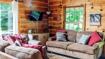 Smart TV, fireplace, DVD player, books