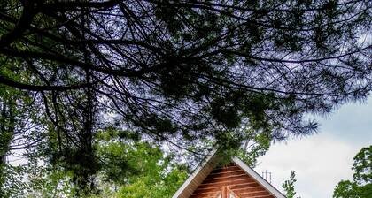 Lulu’s Lodge: Cozy Woods Cabin w/ Hot Tub + Stone Fireplace