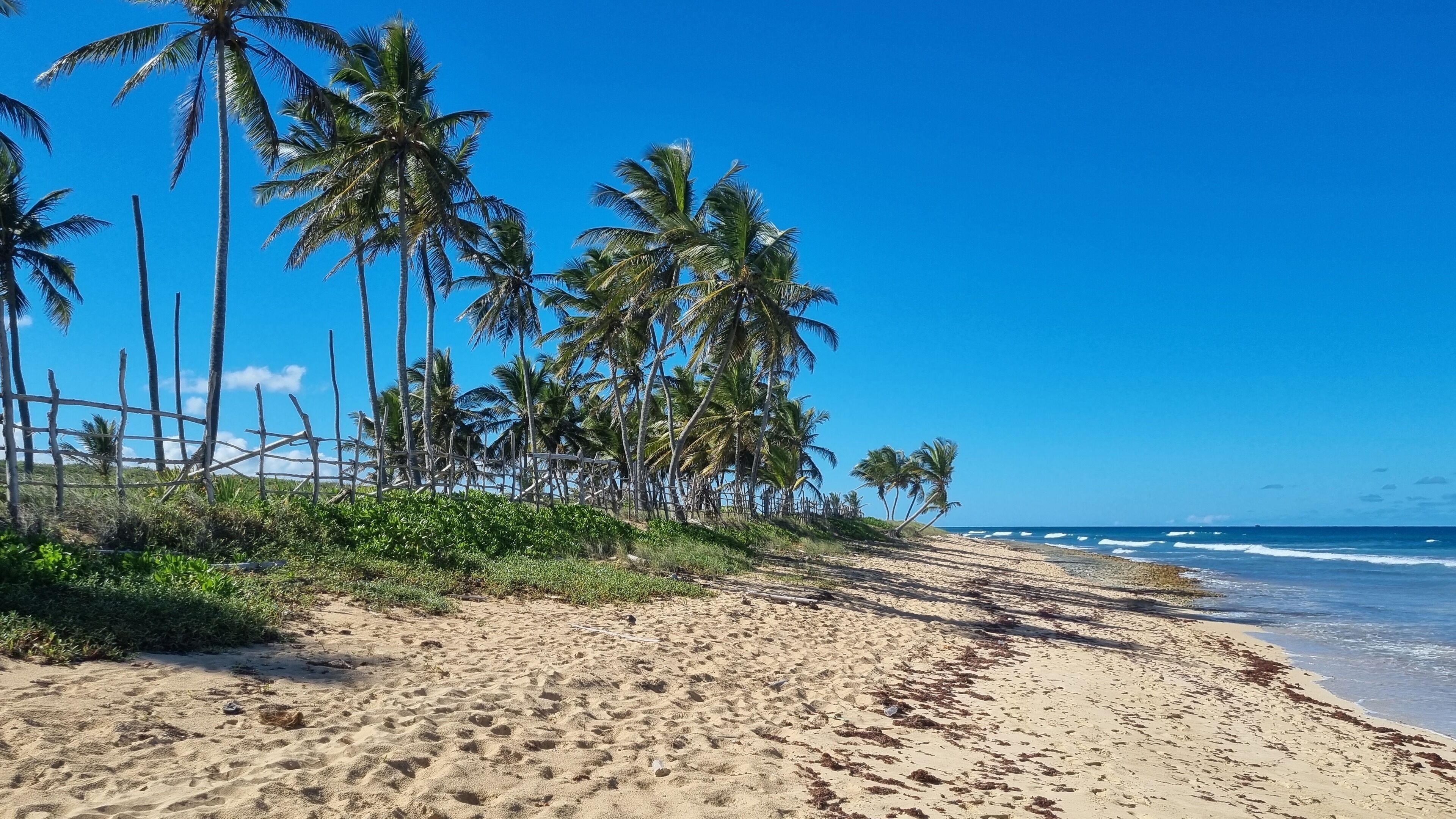 Photo - Unique and quiet APARTMENTS La Botánica Tropical
