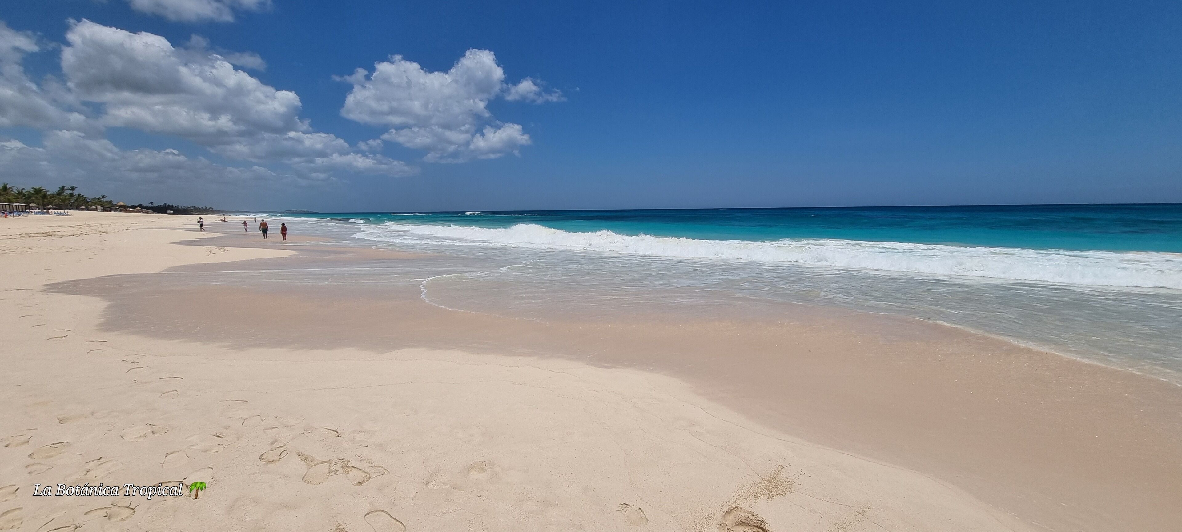 Photo - Unique and quiet APARTMENTS La Botánica Tropical