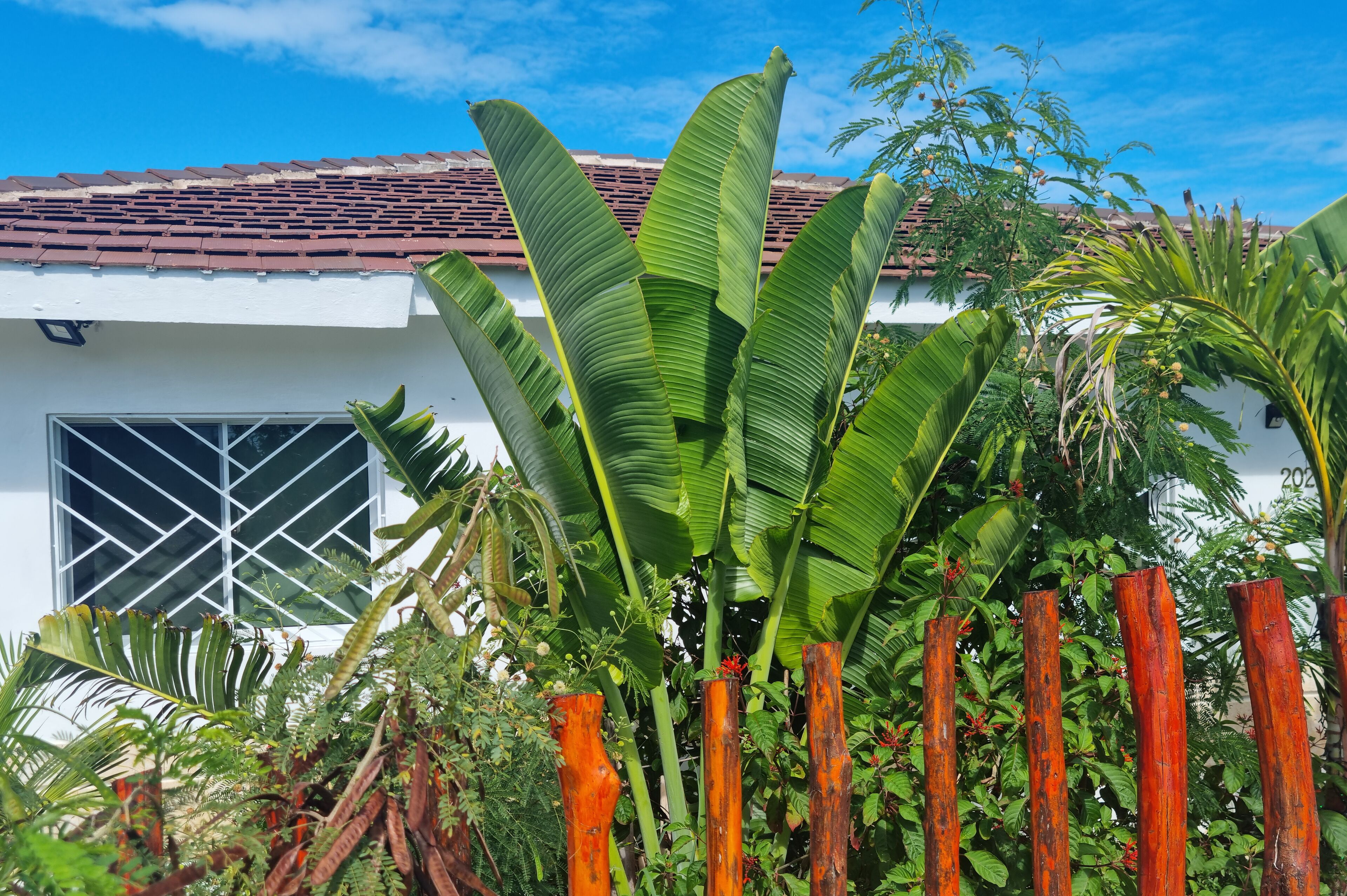 Photo - Unique and quiet APARTMENTS La Botánica Tropical