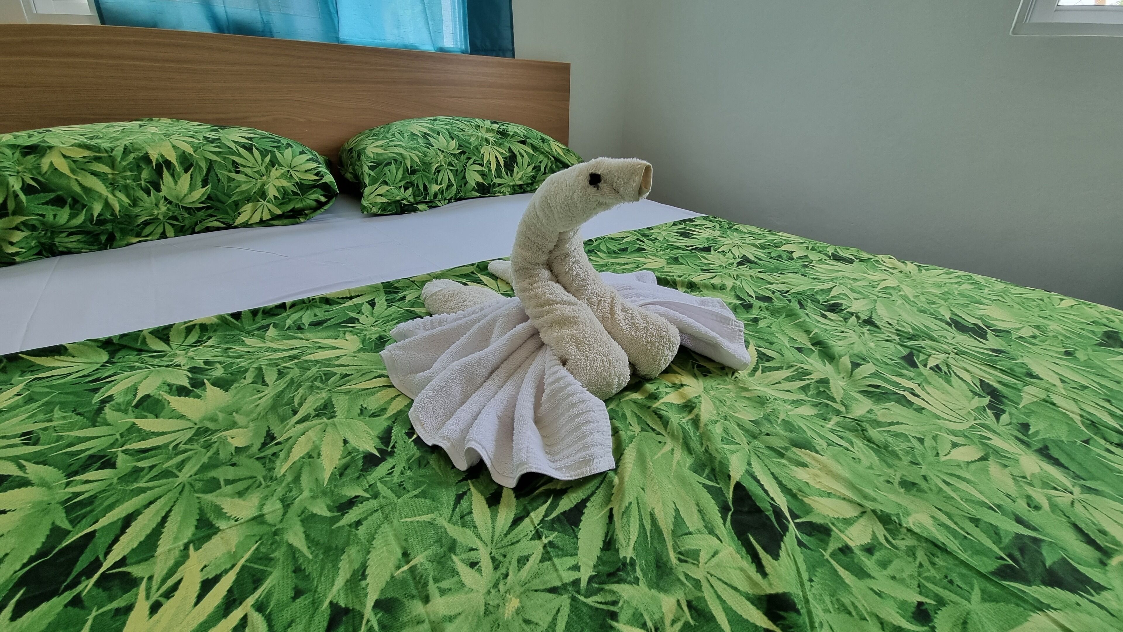 Photo - Unique and quiet APARTMENTS La Botánica Tropical