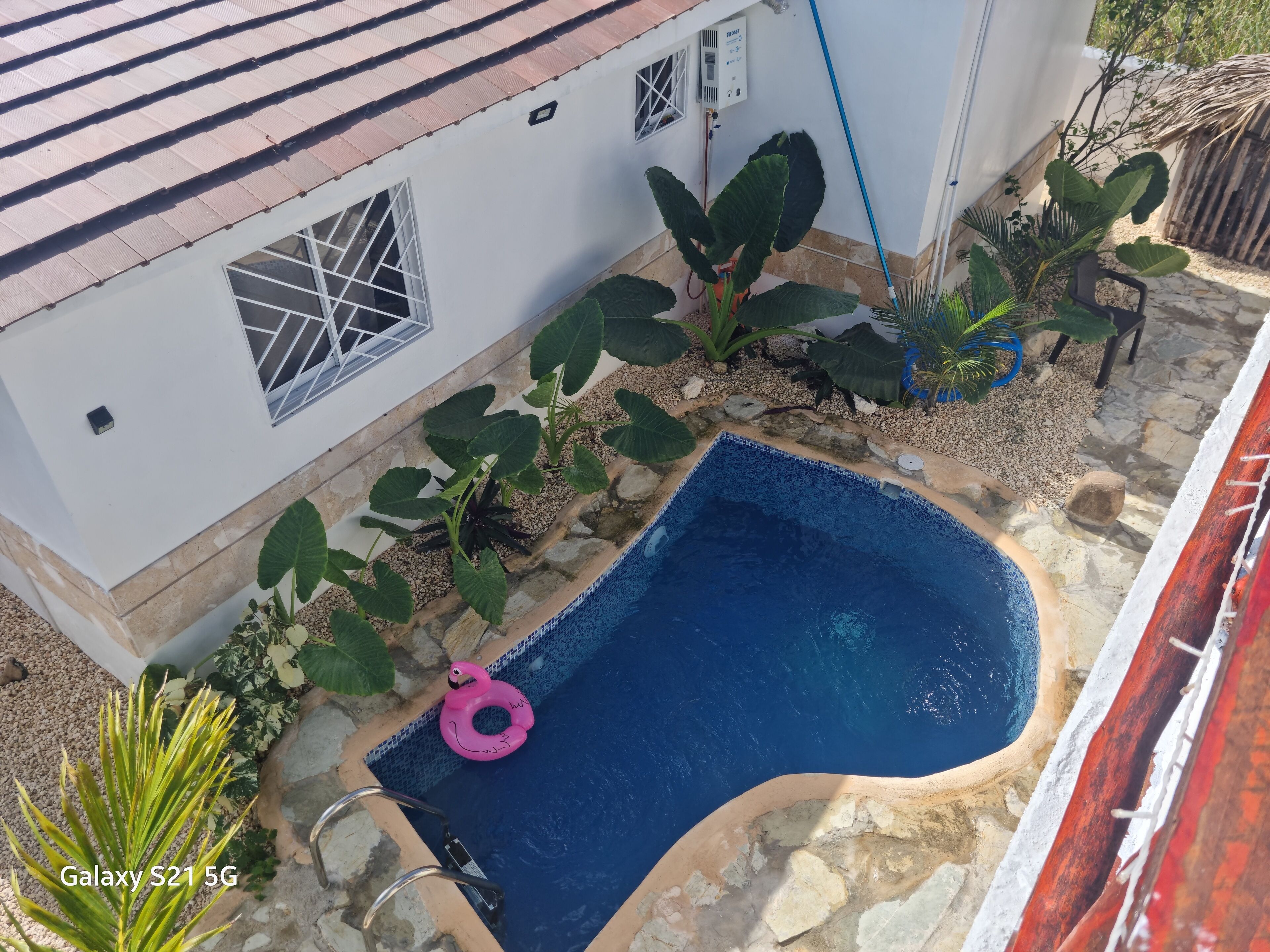 Photo - Unique and quiet APARTMENTS La Botánica Tropical