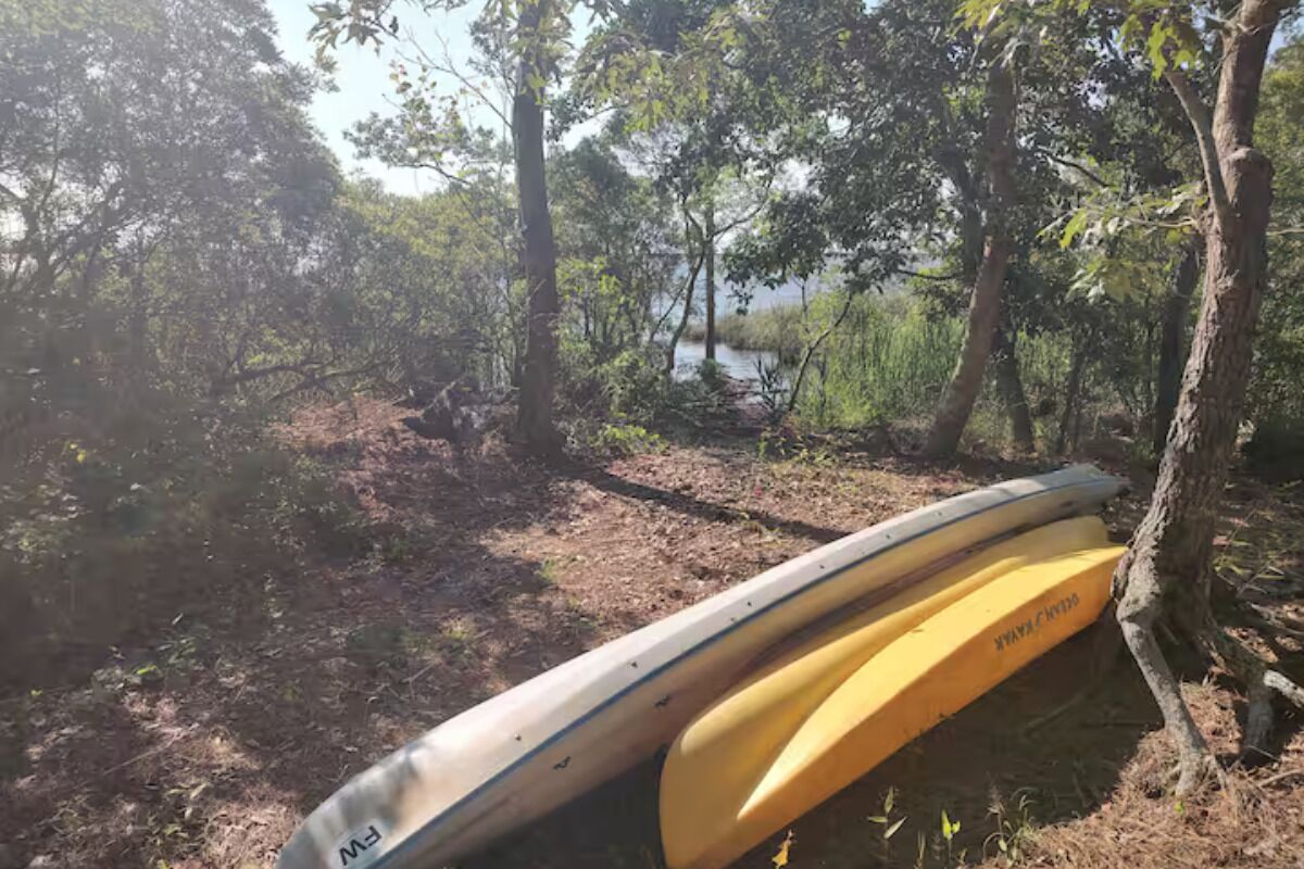 A kayak resting against a tree in a wooded area near a body of water.