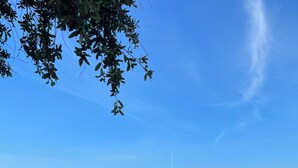 A dock with boats, a grassy area, and a clear blue sky. - Cumberland Queen Cottage (St Marys)