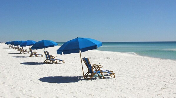 Playa en los alrededores 