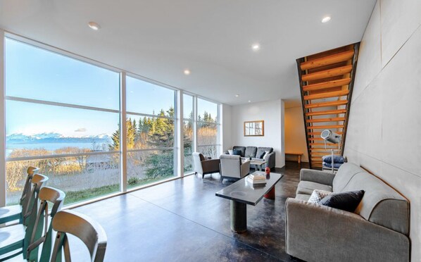 Smart TV, fireplace, books