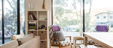 TV, fireplace, books