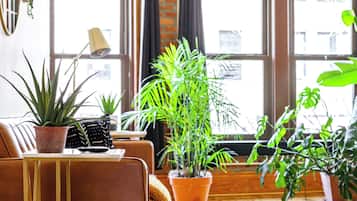 City Loft | 1 bedroom, Egyptian cotton sheets, premium bedding, memory foam beds