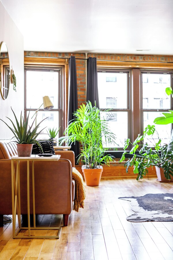 Jungle House Luxury Lofts – Short North High Street - Ohio