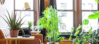 Jungle House Luxury Lofts – Short North High Street