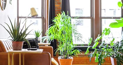 Jungle House Luxury Lofts – Short North High Street