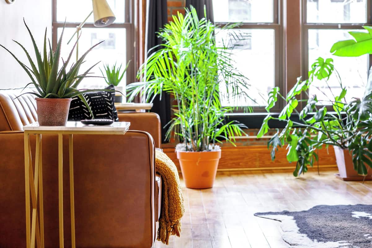 Loft urbano | Servicio a la habitación