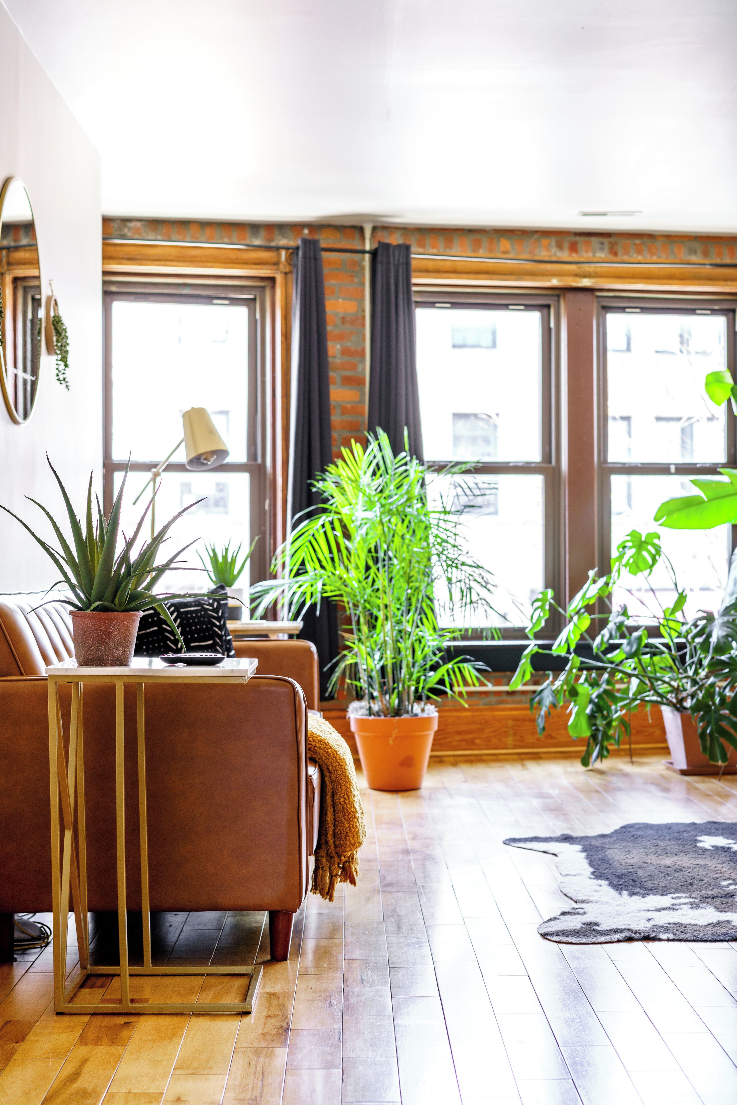 Loft urbano | Área de sala de estar | Smart TV de 55 pulgadas con canales digitales, televisión y Netflix 