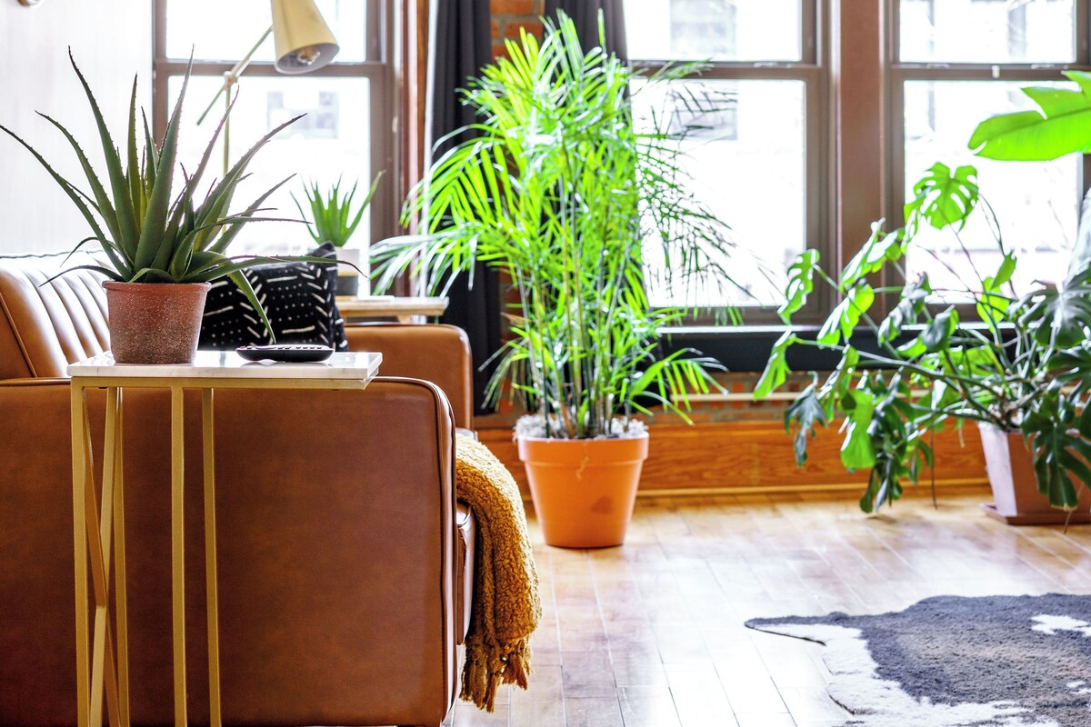 A living room with a brown sofa, a coffee table, and several potted plants.