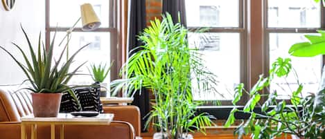 City-Loft