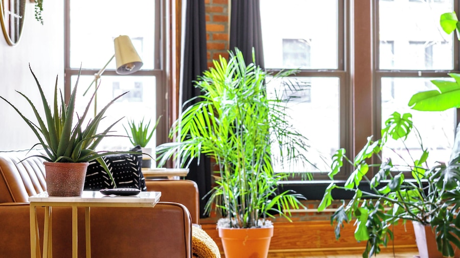 Jungle House Luxury Lofts – Short North High Street