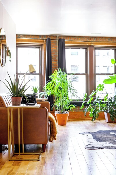 Jungle House Luxury Lofts – Short North High Street