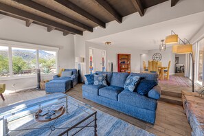 电视、壁炉、书、流媒体服务