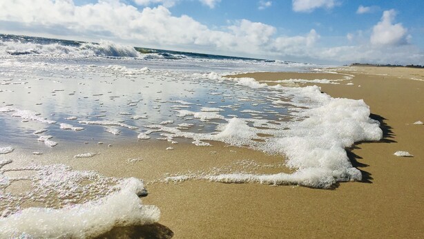 Ein Strand, an dem sanfte Wellen am Ufer branden.