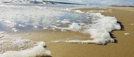 Sun-loungers, beach towels