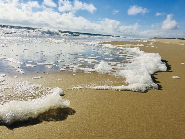 Plage à proximité, chaises longues, serviettes de plage