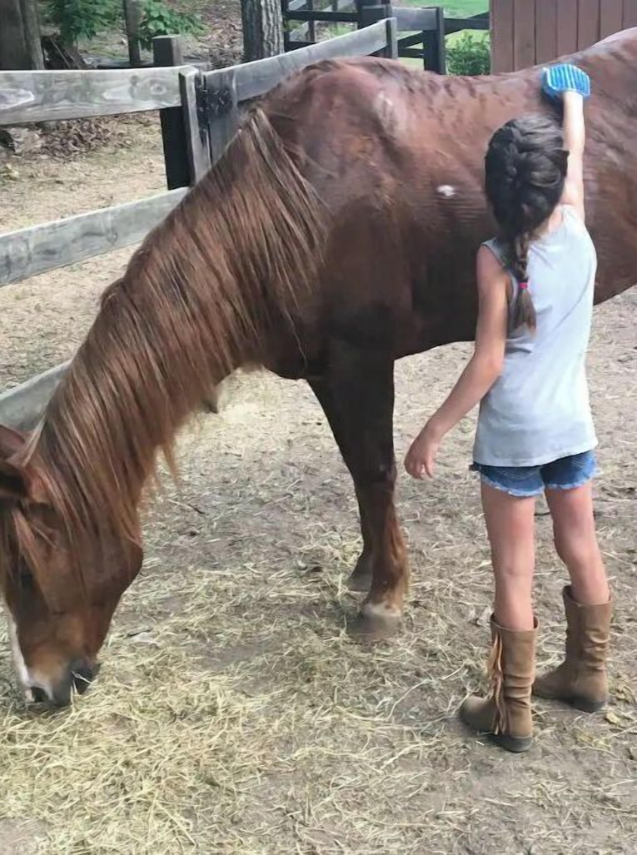 Una persona arreglando un caballo en un establo con heno en el suelo.