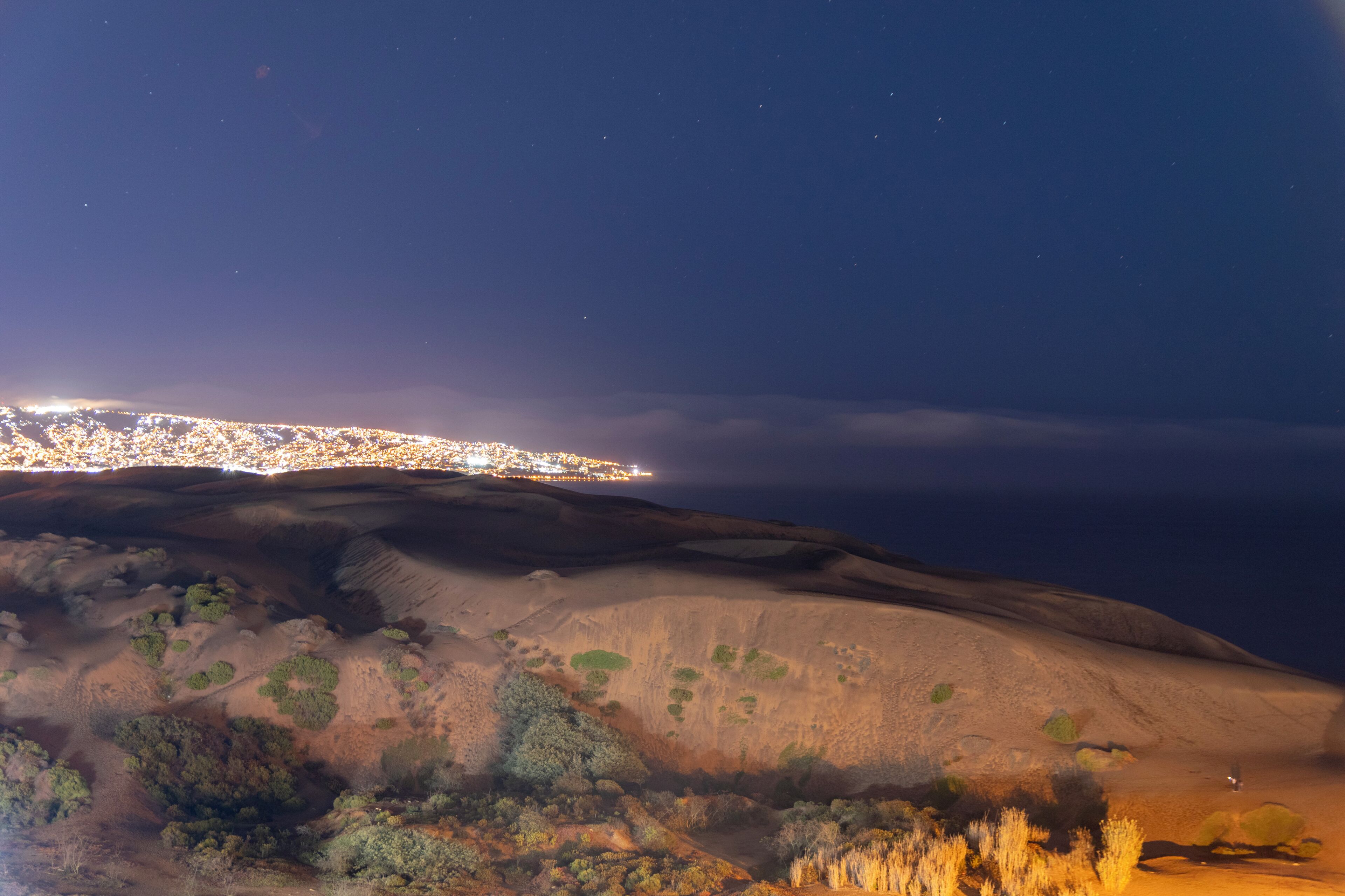 Paisaje nocturno con un horizonte urbano, una colina arenosa y vegetación escasa.