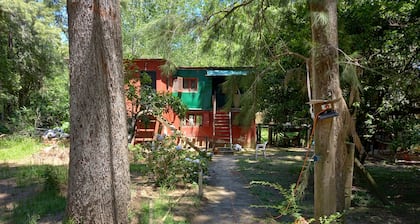 Cabaña del humedal