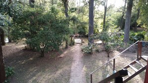 A forested area with a dirt path leading to a wooden bridge over a small body of water. - Cabaña del humedal (Partido de Tigre)