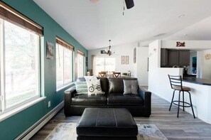 Smart TV, fireplace, books