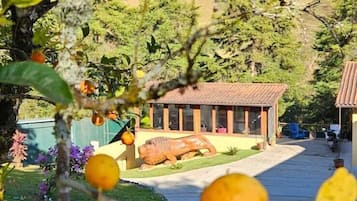 Jardim