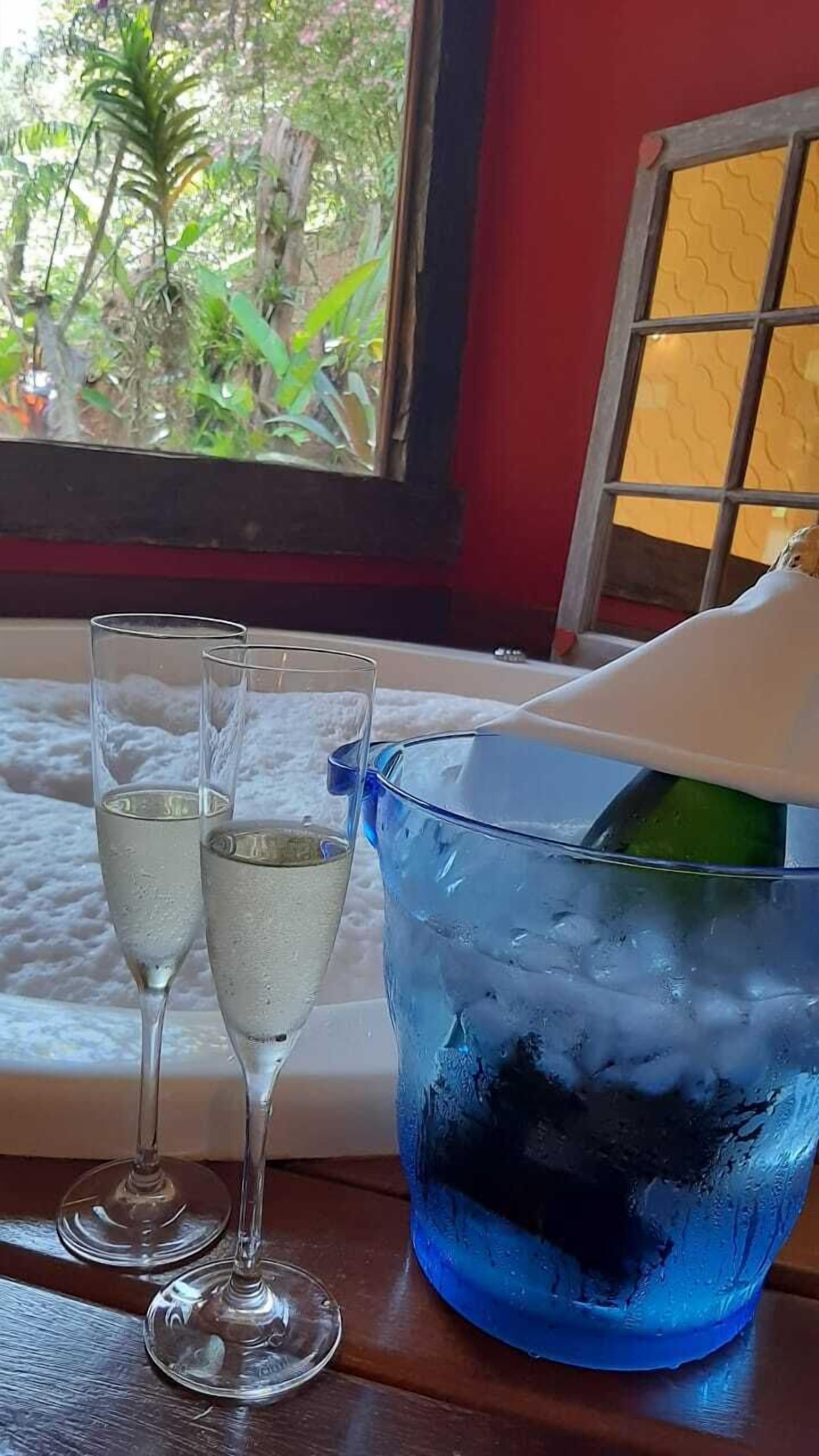 A window with a view of greenery, two glasses of a clear liquid, and a blue bucket with a green object inside.