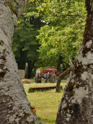 Enceinte de lâhĂ©bergement