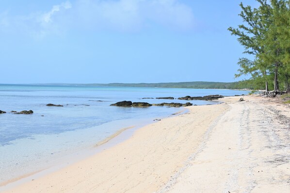 Playa privada, camastros y toallas de playa 