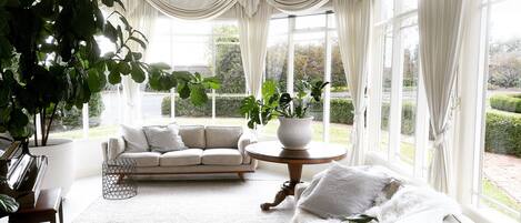 TV, lareira, Netflix, livros