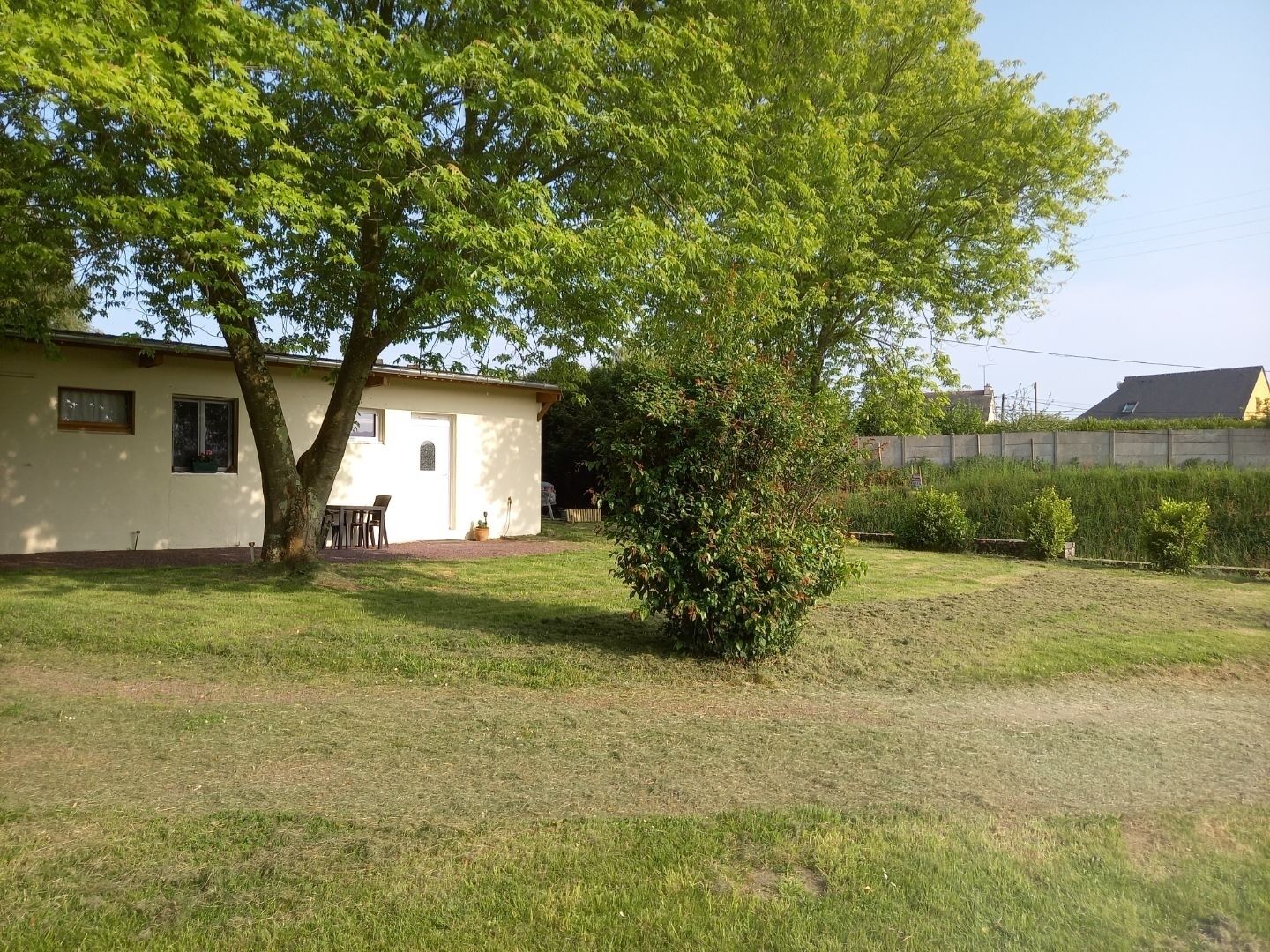 Ein Haus mit Rasen, einem Baum und einem kleinen Busch.