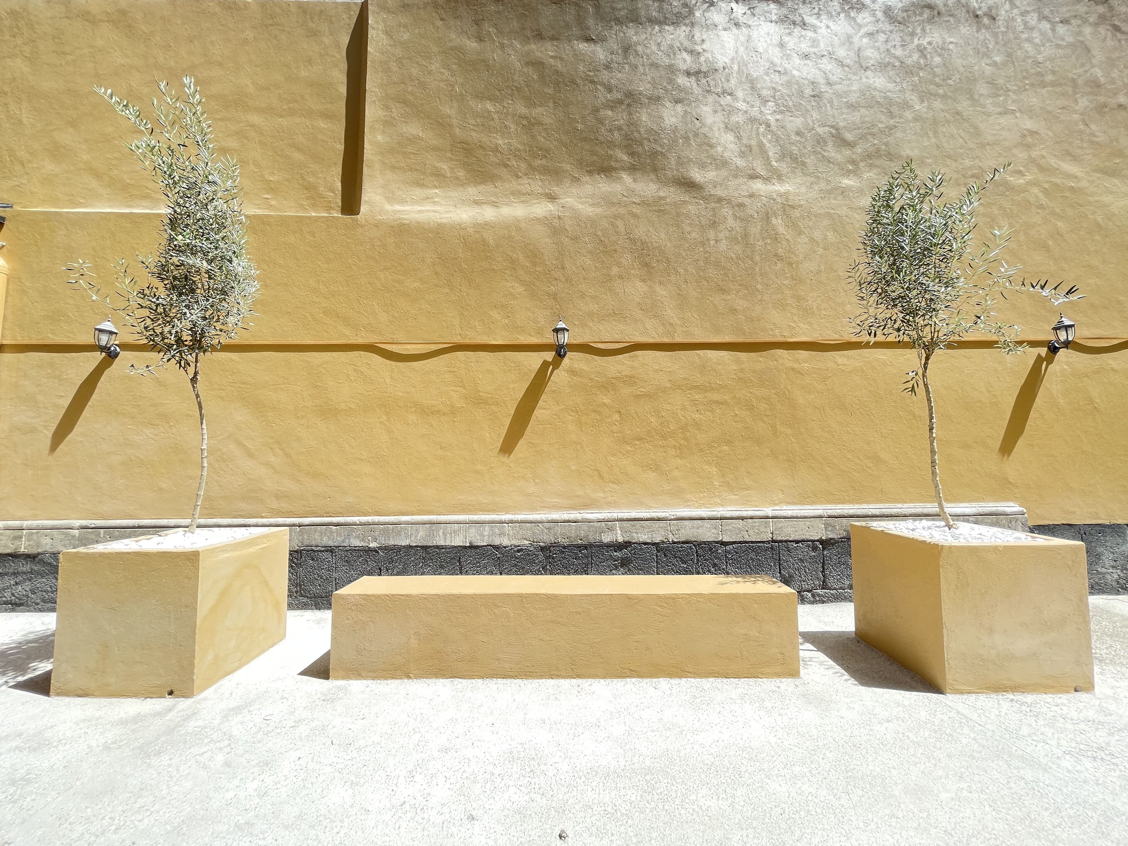 Foto - Colmena Hotel CDMX Centro