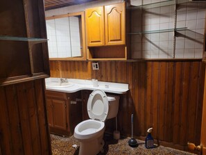 Towels, soap, shampoo, toilet paper