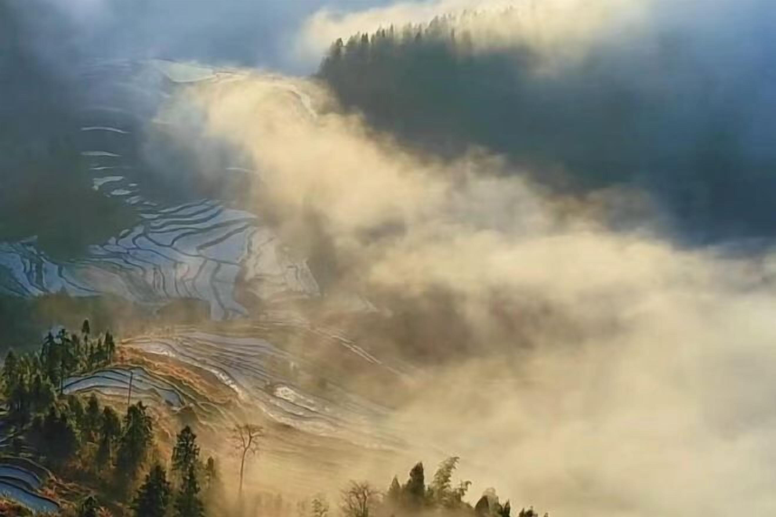 A mountainous landscape with terraced fields and dense forest.