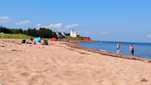 Serviettes de plage