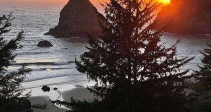 Large Log Cabin Nestled in the Pines on the Coast