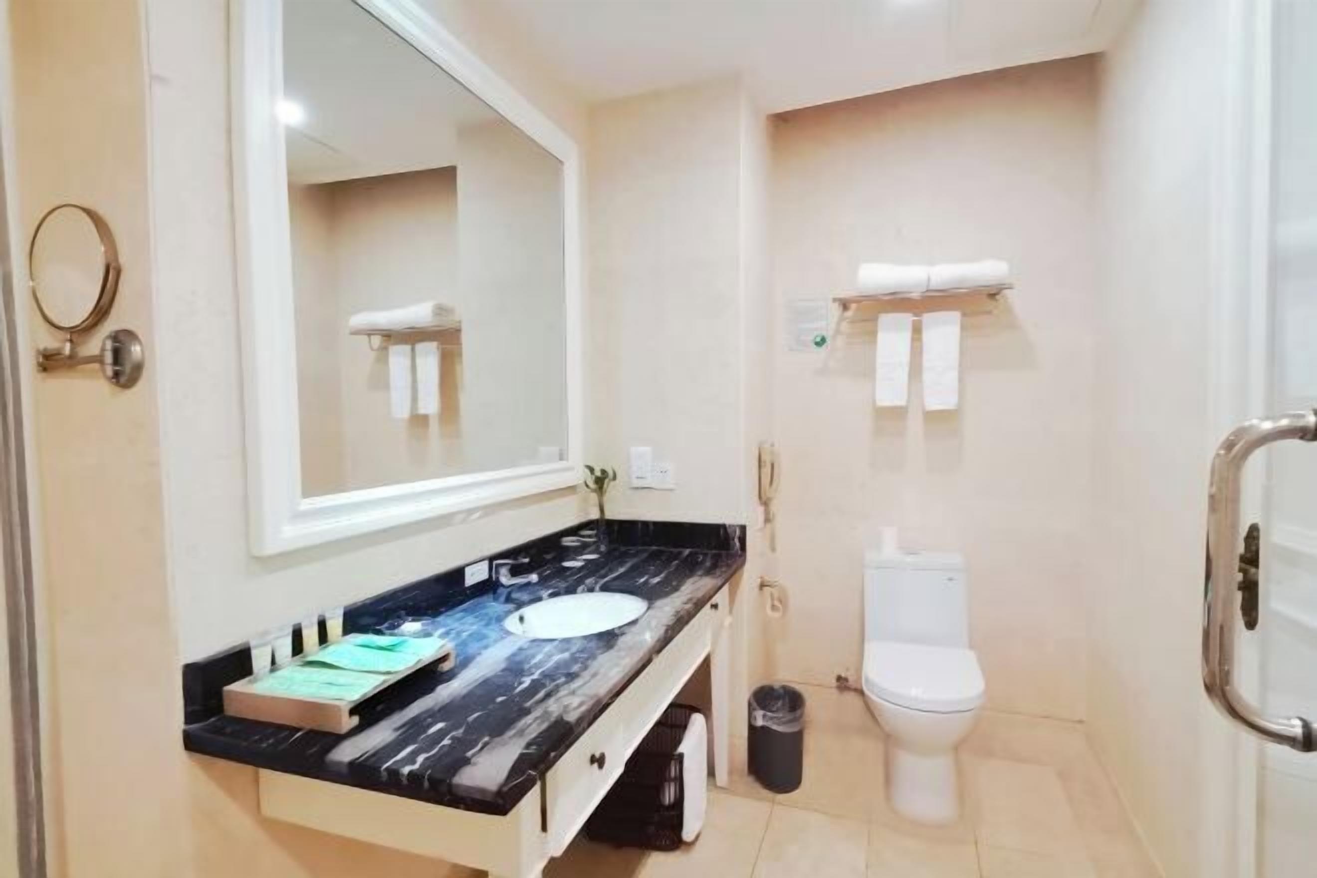 Une salle de bain avec un comptoir en marbre, un lavabo, des toilettes et un miroir.
