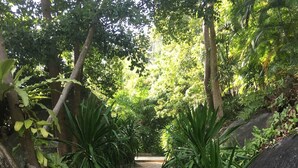 A stone staircase surrounded by lush greenery and trees. - Koh Samui Villa, Beautiful Pool and Wide Sweeping Sea Views over the Islands  (NAMUANG)
