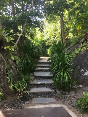 المنطقة المحيطة بالمنشأة