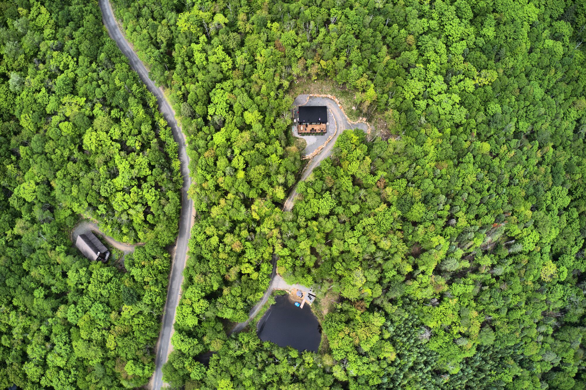 An aerial view of a forested area with a small cabin and a dock extending into a lake.