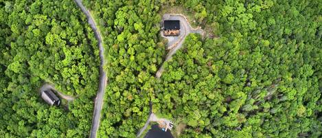 An aerial view of a forested area with a small cabin and a dock extending into a lake.