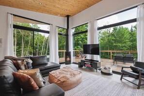 Smart TV, fireplace, stereo