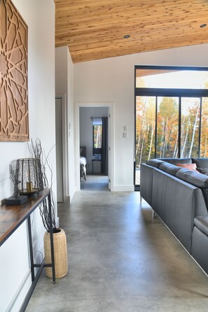 Smart TV, chimenea y estéreo