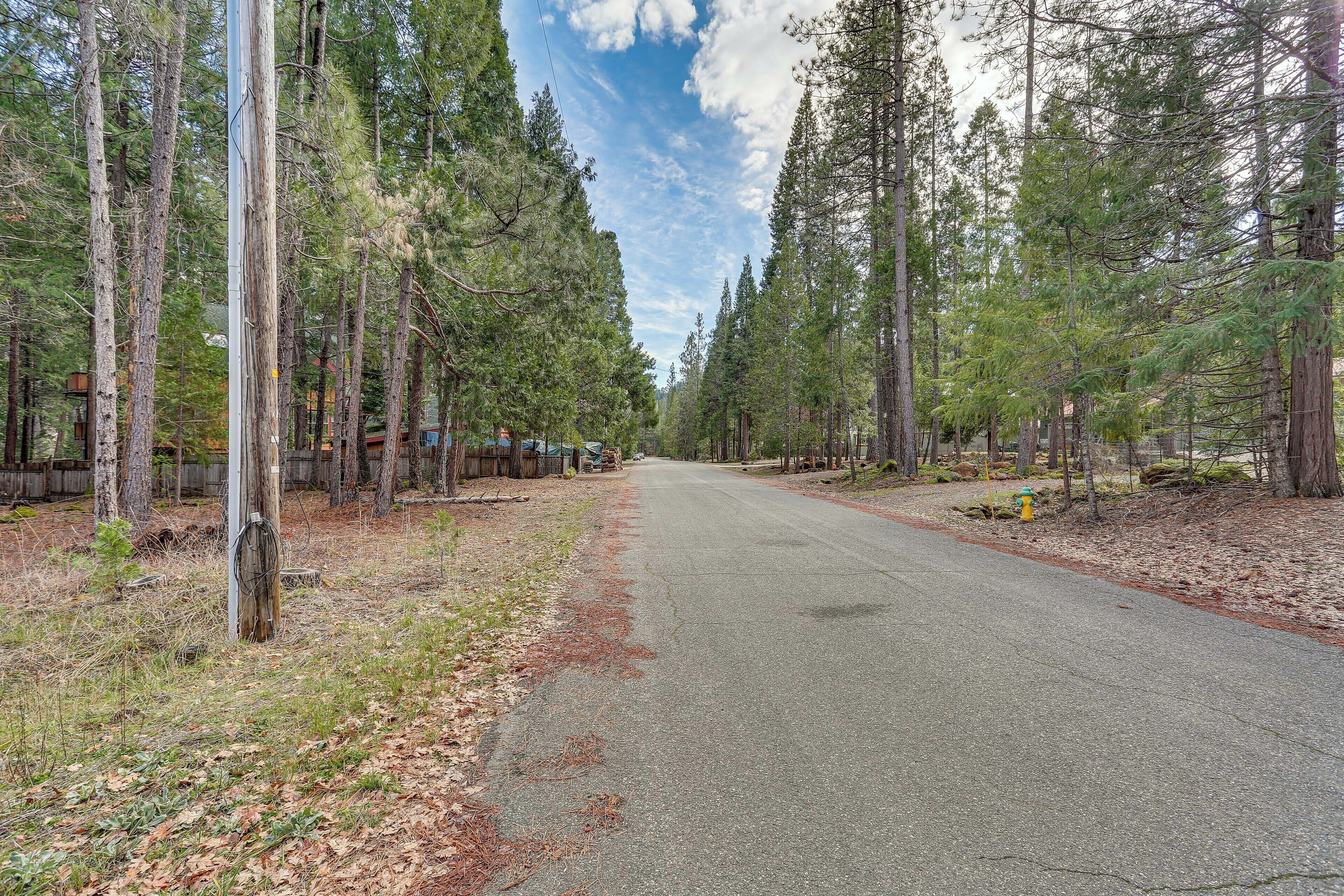 A road flanked by tall pine trees, with a utility pole and a yellow fire hydrant visible.